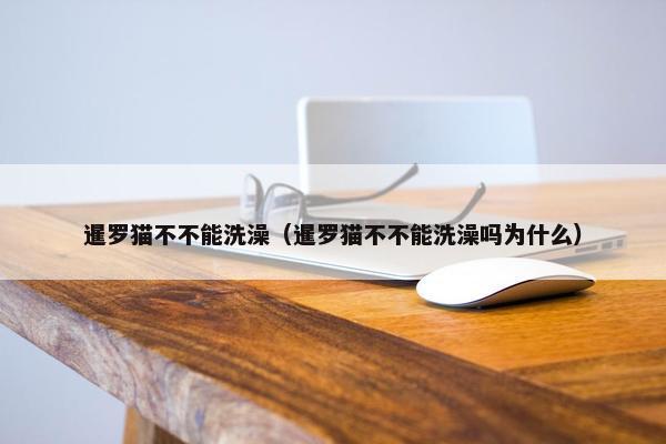 暹罗猫不不能洗澡（暹罗猫不不能洗澡吗为什么）