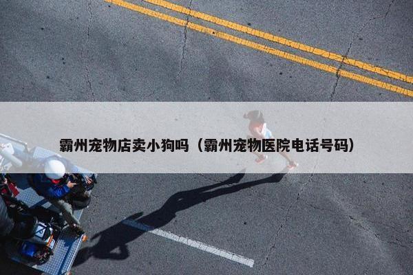 霸州宠物店卖小狗吗（霸州宠物医院电话号码）
