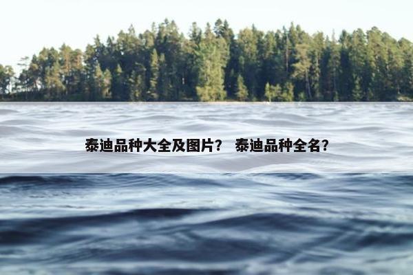 泰迪品种大全及图片？ 泰迪品种全名？