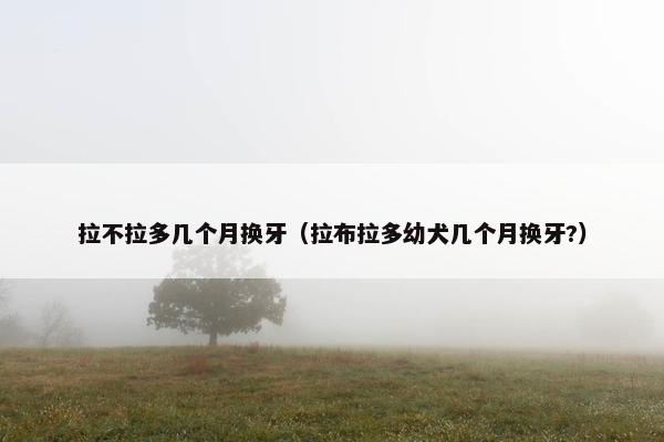 拉不拉多几个月换牙（拉布拉多幼犬几个月换牙?）