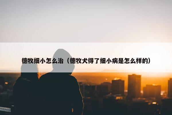 德牧细小怎么治（德牧犬得了细小病是怎么样的）
