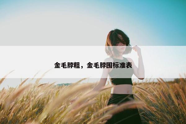 金毛脖粗，金毛脖围标准表
