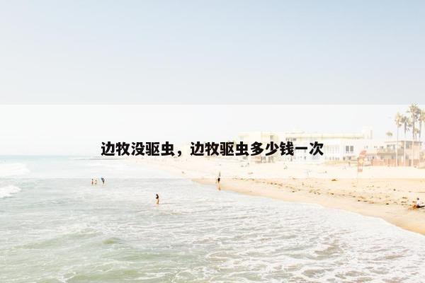 边牧没驱虫，边牧驱虫多少钱一次