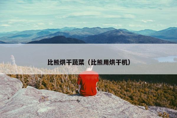 比熊烘干蔬菜（比熊用烘干机）