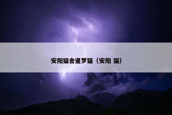 安阳猫舍暹罗猫（安阳 猫）