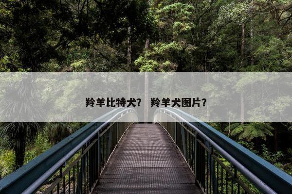 羚羊比特犬？ 羚羊犬图片？