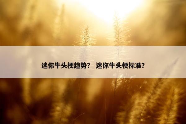 迷你牛头梗趋势？ 迷你牛头梗标准？