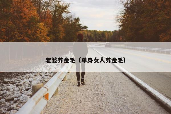 老婆养金毛（单身女人养金毛）