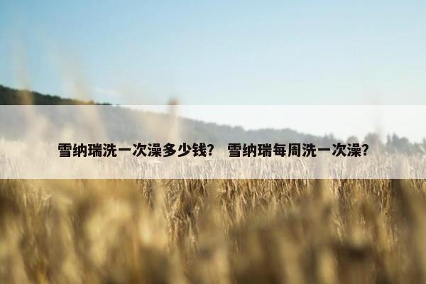 雪纳瑞洗一次澡多少钱？ 雪纳瑞每周洗一次澡？