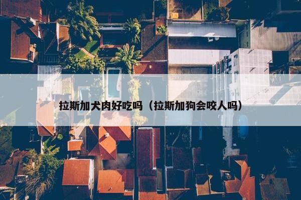 拉斯加犬肉好吃吗（拉斯加狗会咬人吗）