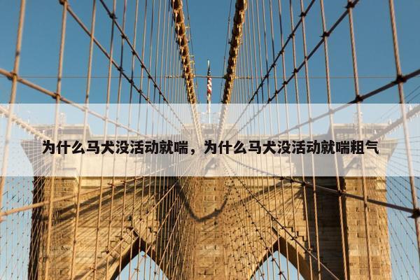为什么马犬没活动就喘，为什么马犬没活动就喘粗气