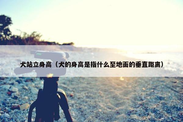 犬站立身高（犬的身高是指什么至地面的垂直距离）