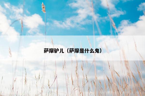 萨摩驴儿（萨摩是什么鬼）