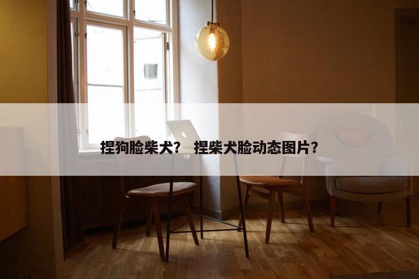 捏狗脸柴犬？ 捏柴犬脸动态图片？