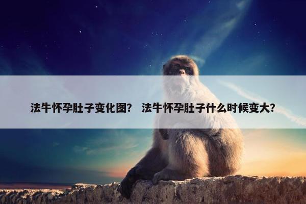 法牛怀孕肚子变化图？ 法牛怀孕肚子什么时候变大？