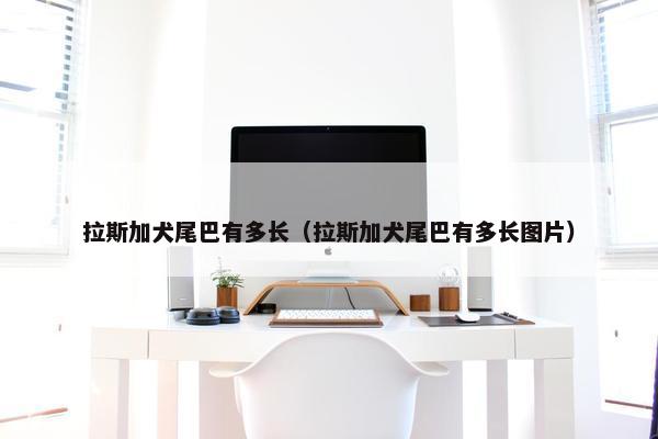 拉斯加犬尾巴有多长（拉斯加犬尾巴有多长图片）
