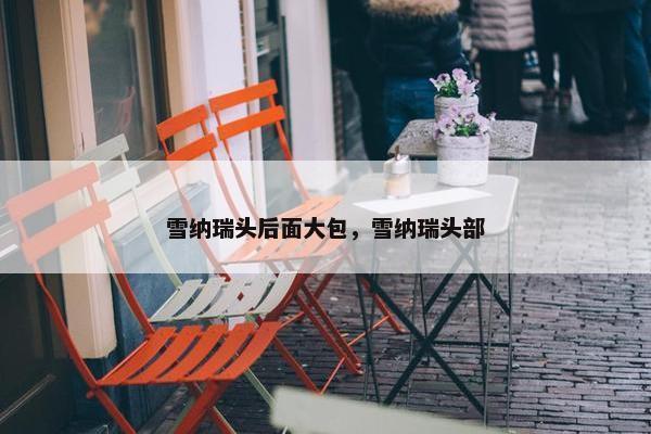 雪纳瑞头后面大包，雪纳瑞头部