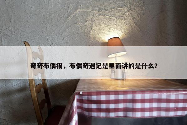 奇奇布偶猫，布偶奇遇记是里面讲的是什么?