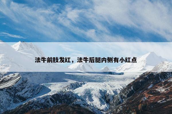 法牛前肢发红，法牛后腿内侧有小红点