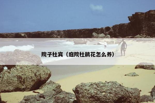 院子杜宾（庭院杜鹃花怎么养）