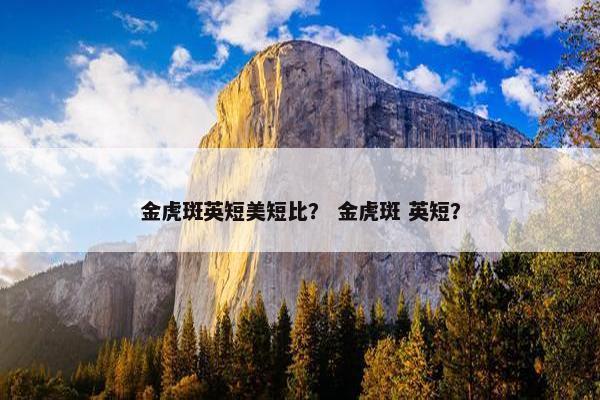 金虎斑英短美短比？ 金虎斑 英短？