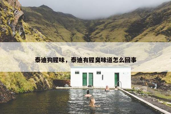 泰迪狗腥味，泰迪有腥臭味道怎么回事