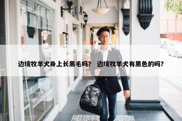 边境牧羊犬身上长黑毛吗？ 边境牧羊犬有黑色的吗？