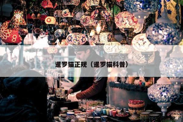 暹罗猫正规（暹罗猫科普）
