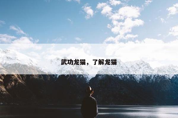 武功龙猫，了解龙猫