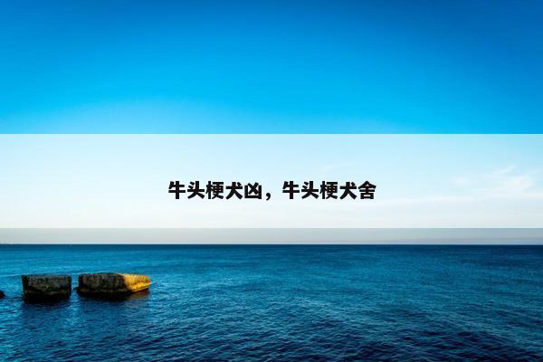 牛头梗犬凶，牛头梗犬舍