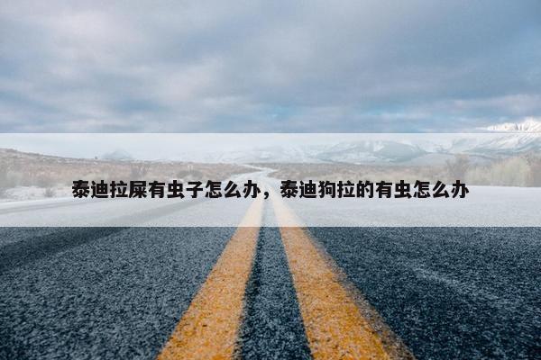 泰迪拉屎有虫子怎么办，泰迪狗拉的有虫怎么办
