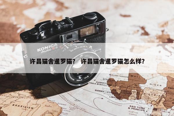 许昌猫舍暹罗猫？ 许昌猫舍暹罗猫怎么样？