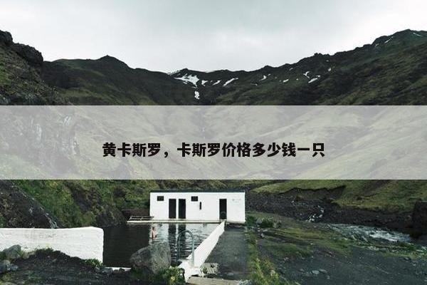 黄卡斯罗，卡斯罗价格多少钱一只