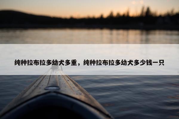纯种拉布拉多幼犬多重，纯种拉布拉多幼犬多少钱一只
