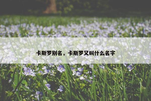 卡斯罗别名，卡斯罗又叫什么名字
