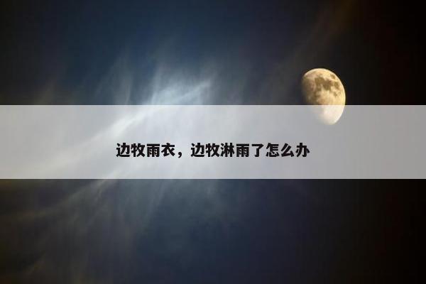 边牧雨衣，边牧淋雨了怎么办