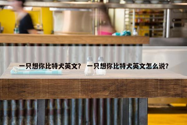 一只想你比特犬英文？ 一只想你比特犬英文怎么说？