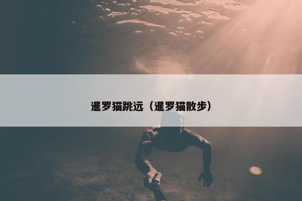 暹罗猫跳远（暹罗猫散步）
