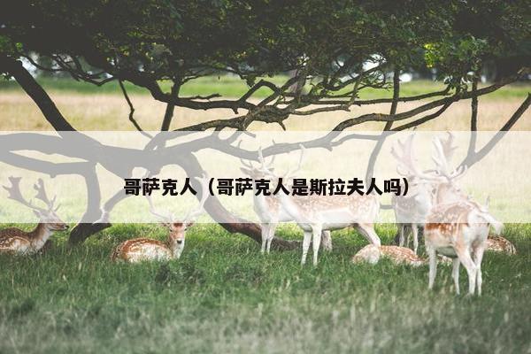 哥萨克人（哥萨克人是斯拉夫人吗）