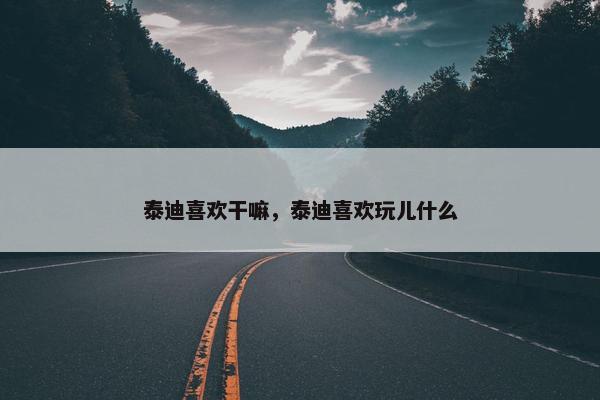 泰迪喜欢干嘛，泰迪喜欢玩儿什么