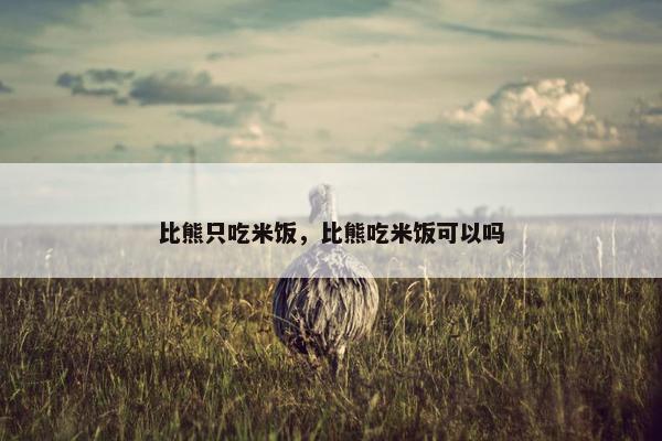 比熊只吃米饭，比熊吃米饭可以吗