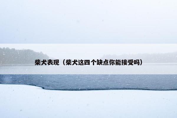 柴犬表现（柴犬这四个缺点你能接受吗）
