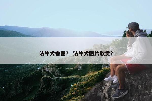 法牛犬舍图？ 法牛犬图片欣赏？