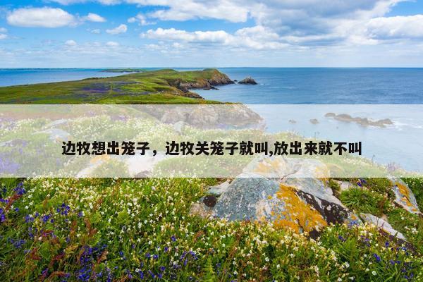 边牧想出笼子，边牧关笼子就叫,放出来就不叫