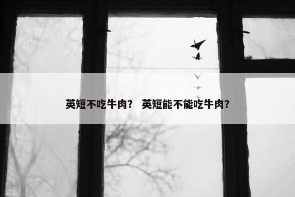 英短不吃牛肉？ 英短能不能吃牛肉？