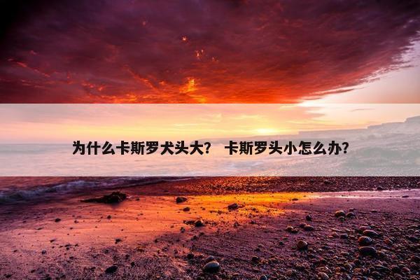 为什么卡斯罗犬头大？ 卡斯罗头小怎么办？