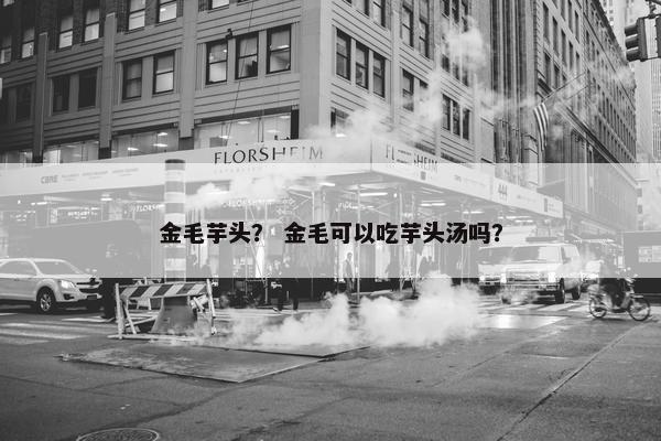 金毛芋头？ 金毛可以吃芋头汤吗？