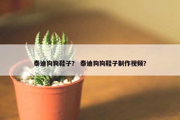 泰迪狗狗鞋子？ 泰迪狗狗鞋子制作视频？