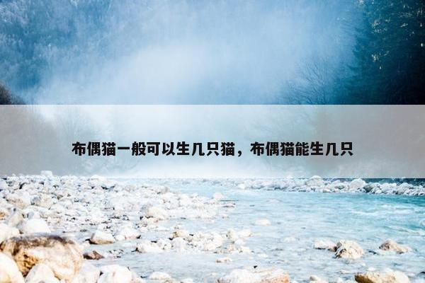 布偶猫一般可以生几只猫，布偶猫能生几只