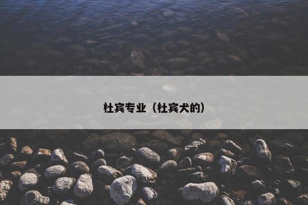 杜宾专业（杜宾犬的）